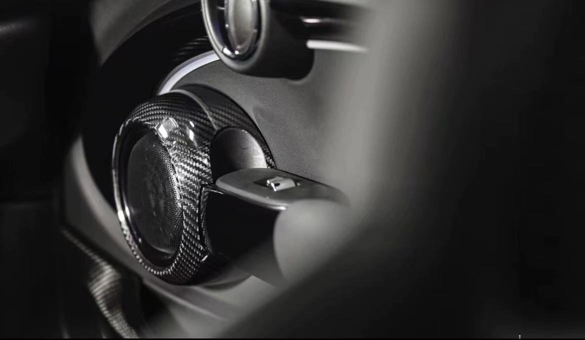 Interior Carbon Fiber