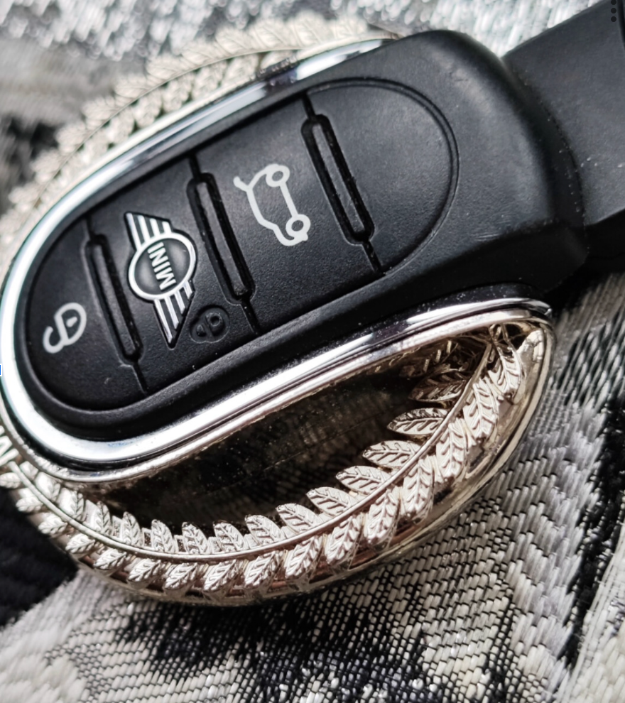 Olive Branch Style Alloy Key Fob Case For F5X MINI