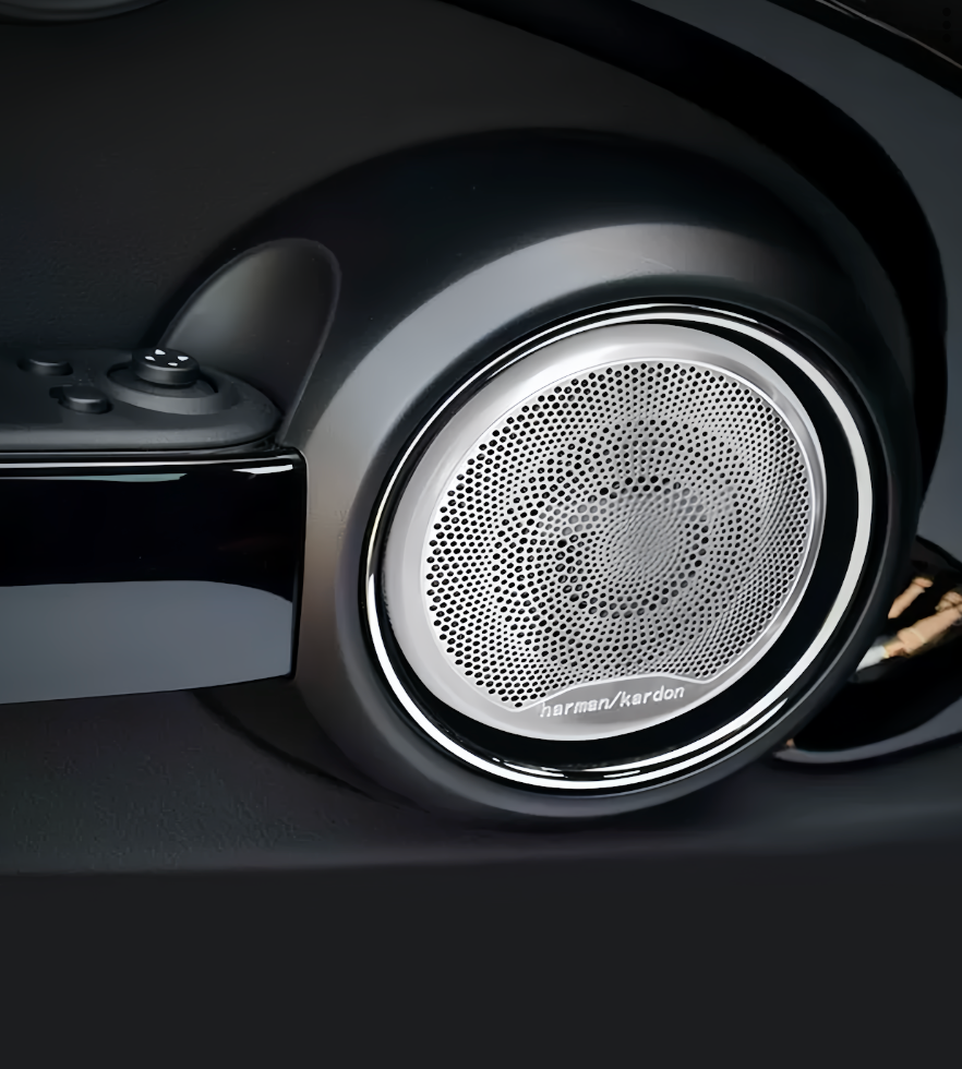 (Set of 2) Stainless Steel Speaker Cover for F5X MINI Cooper